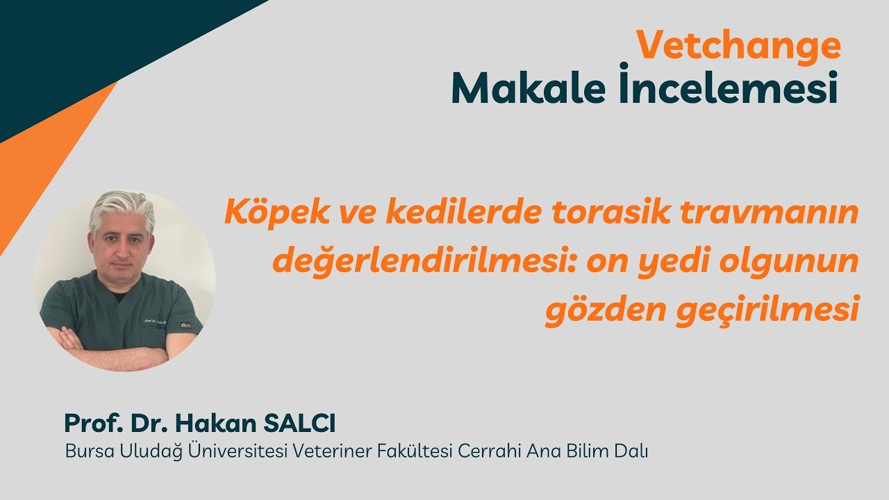 Köpek ve kedilerde torasik travmanın değerlendirilmesi #veterinerfakültesi #veterinarymedicine